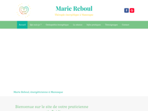 Marie Reboul Saint-Maime, Autres techniques énergétiques 