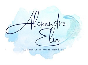 Alexandre Elia Vannes, Magnétisme, Reiki