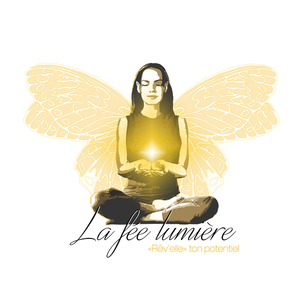 LA FEE LUMIERE Ris-Orangis, Autres techniques énergétiques 