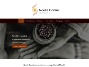 Noelle Donini Croisilles, Magnétisme