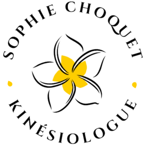 Sophie Choquet Saint-André, Pratiques énergétiques