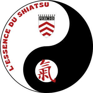 L'essence du Shiatsu Champrond-en-Gâtine, Pratiques énergétiques
