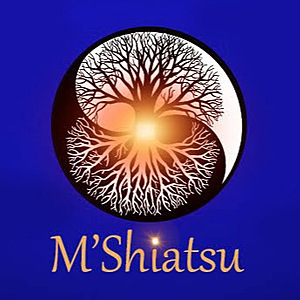 M'Shiatsu Montricoux, Pratiques énergétiques