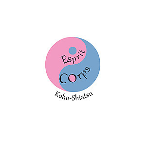 Shiastu Corinne Lons, Pratiques énergétiques