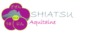 Stéphanie JEANCLAUDE Sévignacq-Meyracq, Pratiques énergétiques