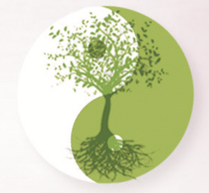L'ARBRE A SOI Cailloux-sur-Fontaines, Pratiques énergétiques