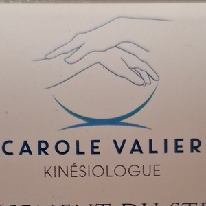 Carole VALIER Paris 16, Pratiques énergétiques