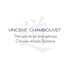 Vincent CHAMBOUVET - Thérapeute en énergétique Chinoise & Indo-Tibétaine Paris 16, Pratiques énergétiques