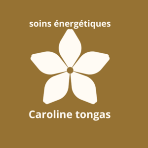 Caroline Tongas Grenoble, Pratiques énergétiques