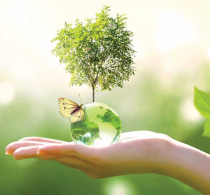 Energies Pures Senantes, Pratiques énergétiques