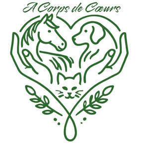 A Corps de Coeurs - Elodie FRICAUD-VICINI La Genête, Pratiques énergétiques