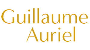 Guillaume Auriel Lagny-sur-Marne, Autres techniques énergétiques 