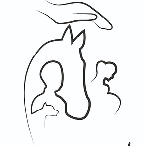 L'écrin du Ki / Altitude Bien-être La Bréole, Pratiques énergétiques