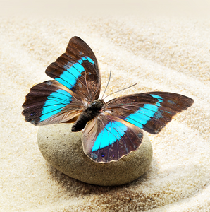 Didier LACOMBLE Sahurs, Pratiques énergétiques