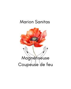 Marion Sanitas Saint-Hilaire-de-la-Côte, Magnétisme
