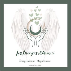 Emilie DELEAU - LES ENERGIES D'AMARIA Bourgbarré, Pratiques énergétiques
