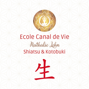 Ecole Canal de Vie Gif-sur-Yvette, Pratiques énergétiques