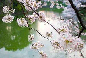 Martine Briault - Kinésiologue Paris 15, Pratiques énergétiques