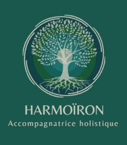 Harmoïron Perros-Guirec, Pratiques énergétiques, Autres techniques énergétiques , Magnétisme, Reiki