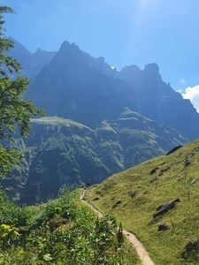 Hélène WADEL Maurepas, Magnétisme