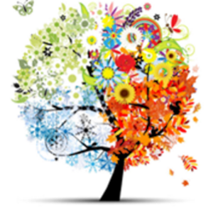 Hélène Pruel Mouazé, Pratiques énergétiques