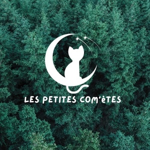 Les Petites Com'ètes Ceaucé, Reiki, Autres techniques énergétiques 