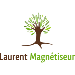 Laurent DHAYER Orléans, Magnétisme