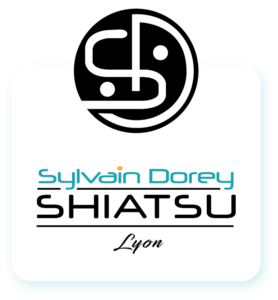 Sylvain Dorey Lyon, Pratiques énergétiques